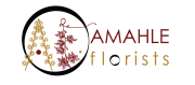 AF logo T-01.png
